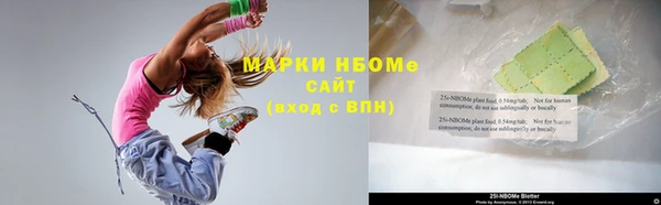 гашик Алексеевка