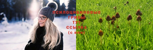 ГАЛЛЮЦИНОГЕННЫЕ ГРИБЫ Нея